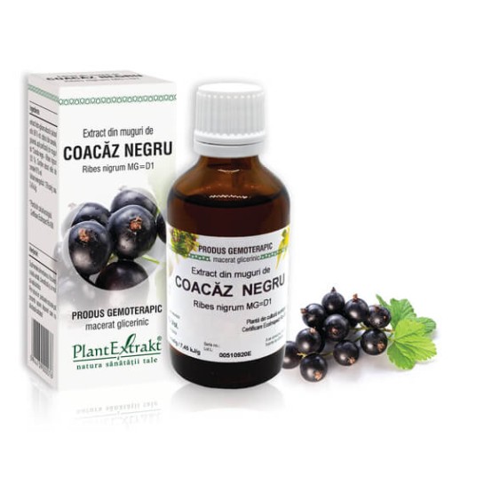 Extract muguri coacăz negru (Ribes nigrum) 50ml, PlantExtrakt