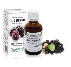 Extract muguri dud negru (Morus nigra) 50ml, PlantExtrakt