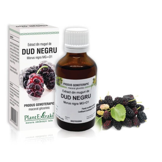 Extract muguri dud negru (Morus nigra) 50ml, PlantExtrakt