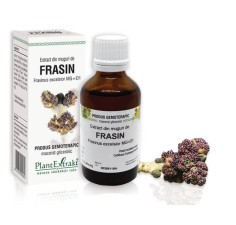 Extract muguri frasin (Fraxinus excelsior) 50ml, PlantExtrakt