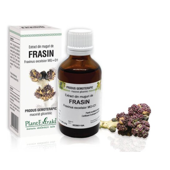 Extract muguri frasin (Fraxinus excelsior) 50ml, PlantExtrakt