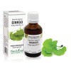 Extract muguri ginkgo (Ginkgo biloba) 50ml, PlantExtrakt