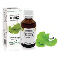 Extract muguri ginkgo (Ginkgo biloba) 50ml, PlantExtrakt