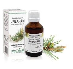 Extract muguri jneapan (Pinus montana) 50ml, PlantExtrakt