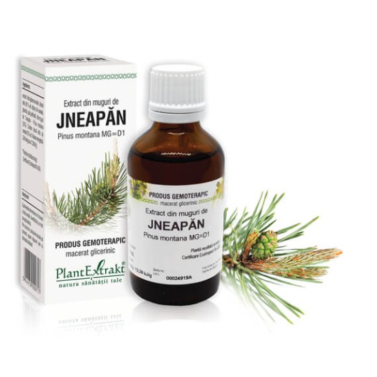 Extract muguri jneapăn (Pinus montana) 50ml, PlantExtrakt