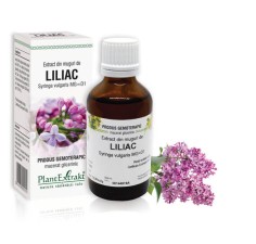 Extract muguri liliac (Syringa vulgaris) 50ml, PlantExtrakt