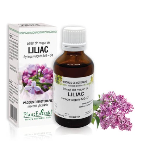 Extract muguri liliac (Syringa vulgaris) 50ml, PlantExtrakt