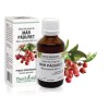 Extract muguri măr păduret (Malus sylvestris) 50ml, PlantExtrakt
