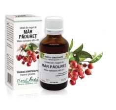 Extract muguri mar paduret (Malus sylvestris) 50ml, PlantExtrakt