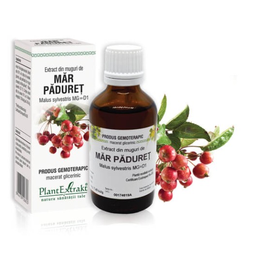 Extract muguri măr păduret (Malus sylvestris) 50ml, PlantExtrakt