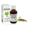 Extract muguri mesteacăn (Betula verrucosa) 50ml, PlantExtrakt