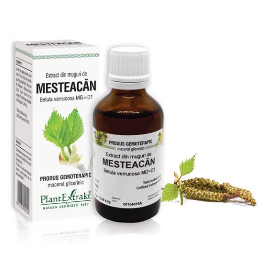 Extract muguri mesteacăn (Betula verrucosa) 50ml, PlantExtrakt