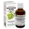 Extract muguri mesteacăn pufos (Betula pubescens), 50ml, PlantExtrakt
