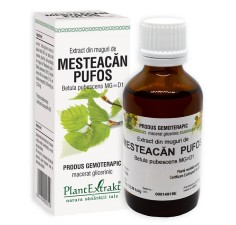 Extract muguri mesteacan pufos (Betula pubescens), 50ml, PlantExtrakt