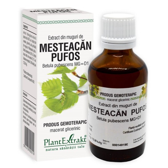 Extract muguri mesteacăn pufos (Betula pubescens), 50ml, PlantExtrakt