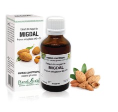 Extract muguri migdal (Prunus amygdalus) 50ml, PlantExtrakt