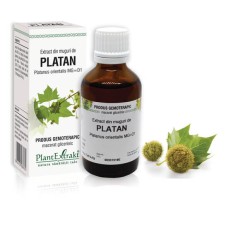 Extract muguri platan (Platanus orientalis) 50ml, PlantExtrakt