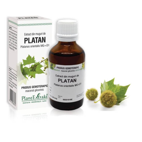 Extract muguri platan (Platanus orientalis) 50ml, PlantExtrakt