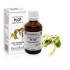Extract muguri plop (Populus nigra) 50ml, PlantExtrakt