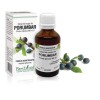 Extract muguri porumbar (Prunus spinosa) 50ml, PlantExtrakt