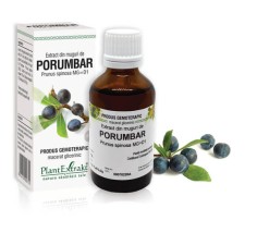 Extract muguri porumbar (Prunus spinosa) 50ml, PlantExtrakt