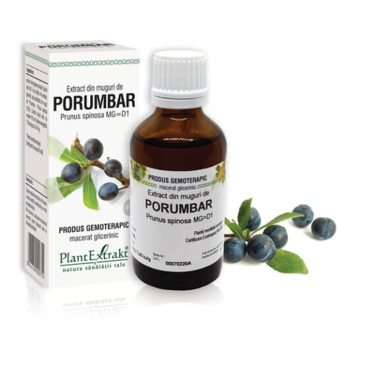 Extract muguri porumbar (Prunus spinosa) 50ml, PlantExtrakt