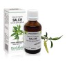 Extract muguri salcie (Salix alba gemme) 50ml, PlantExtrakt