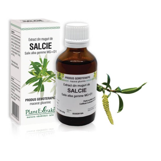 Extract muguri salcie (Salix alba gemme) 50ml, PlantExtrakt