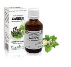 Extract muguri sanger (Cornus sanguinea) 50ml, PlantExtrakt