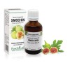 Extract muguri smochin (Ficus carica) 50ml, PlantExtrakt