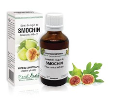 Extract muguri smochin (Ficus carica) 50ml, PlantExtrakt