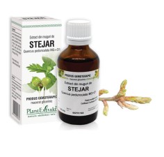 Extract muguri stejar (Quercus pedunculata) 50ml, PlantExtrakt