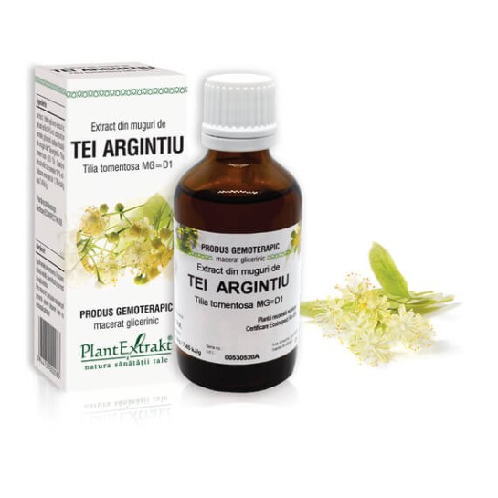 Extract muguri tei argintiu (Tilia tomentosa) 50ml, PlantExtrakt