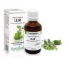 Extract muguri ulm (Ulmus campestris) 50ml, PlantExtrakt