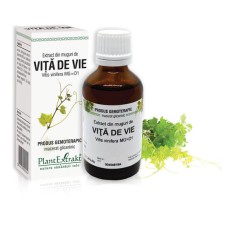 Extract muguri vita de vie (Vitis vinifera) 50ml, PlantExtrakt