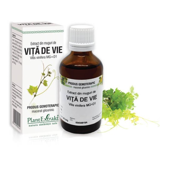 Extract muguri vită de vie (Vitis vinifera) 50ml, PlantExtrakt