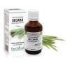 Extract radicele secară (Secale cereale) 50ml, PlantExtrakt