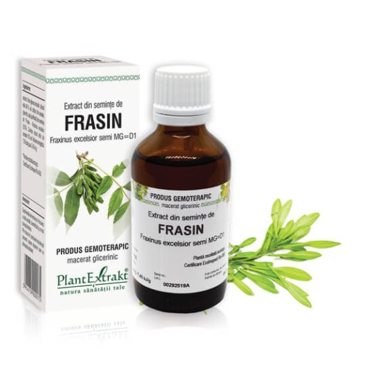 Extract seminte frasin (Fraxinus excelsior) 50ml, PlantExtrakt