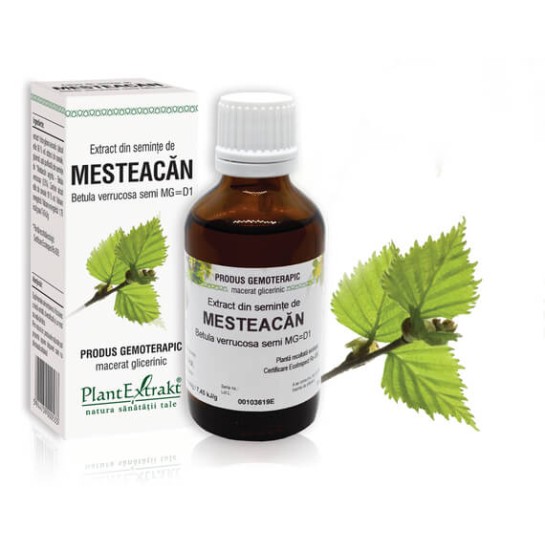 Extract seminte mesteacăn (Betula verrucosa) 50ml, PlantExtrakt