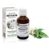 Extract sevă mesteacăn (Betula linfa) 50ml, PlantExtrakt