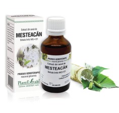 Extract seva mesteacan (Betula linfa) 50ml, PlantExtrakt