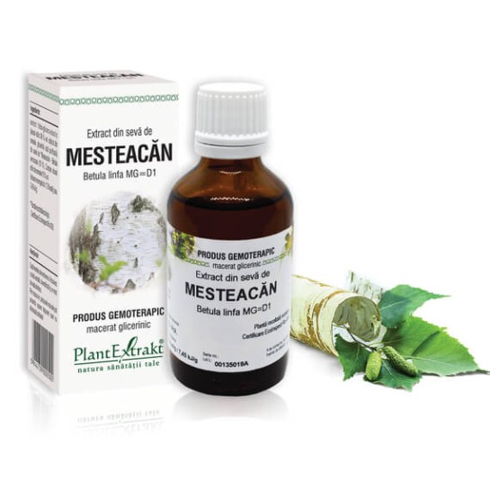 Extract sevă mesteacăn (Betula linfa) 50ml, PlantExtrakt