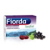 Fiorda coacăze negre, 30 comprimate, PlantExtrakt
