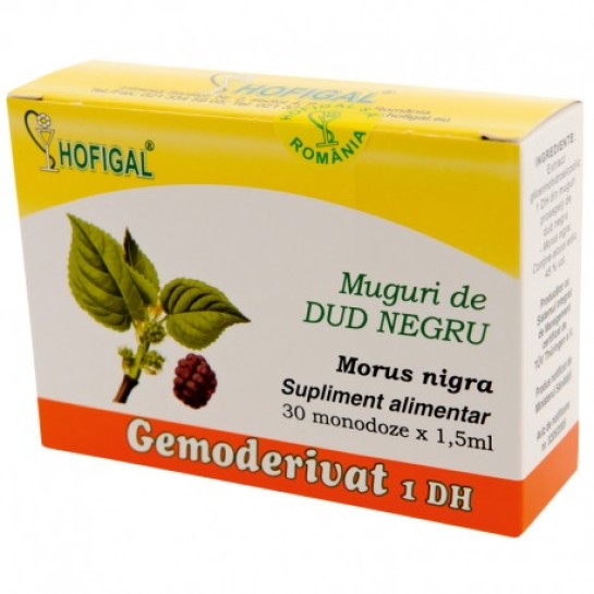 Gemoderivat dud negru muguri, 30 doze, Hofigal