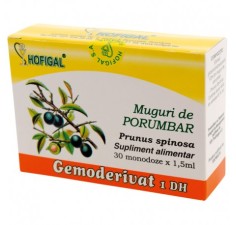 Gemoderivat porumbar muguri, 30 doze, Hofigal
