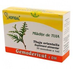 Gemoderivat tuia mladite, 30 doze, Hofigal