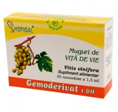 Gemoderivat vita de vie muguri, 30 doze, Hofigal