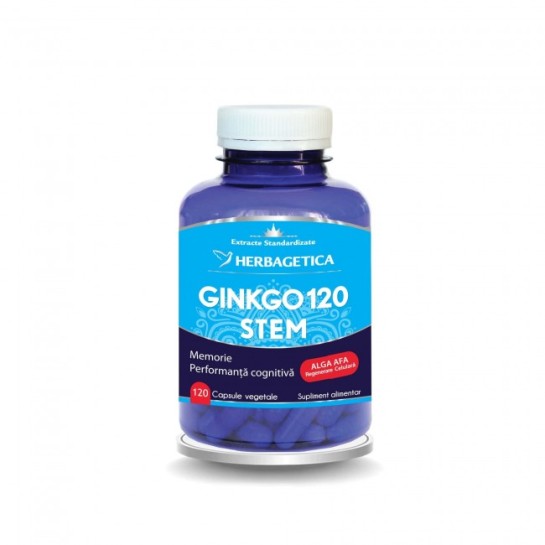 Ginkgo 120 stem, 120 capsule, Herbagetica