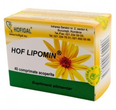 Hof Lipomin, 40 comprimate, Hofigal
