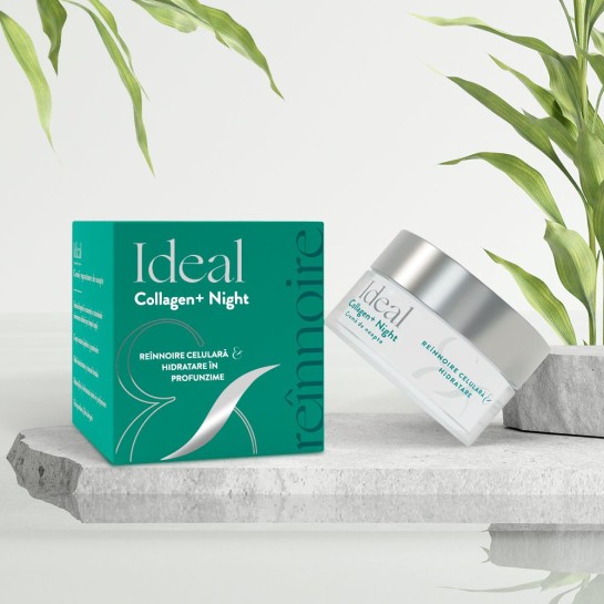 Doctor Fiterman Ideal Collagen+Night Crema de noapte, 50 ml, Fiterman